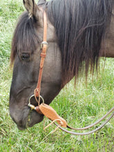 Load image into Gallery viewer, One Piece Split Eared Headstall
