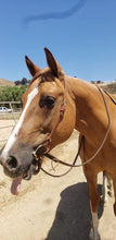 Load image into Gallery viewer, One Piece Split Eared Headstall
