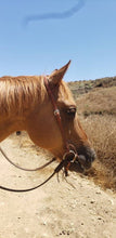 Load image into Gallery viewer, One Piece Split Eared Headstall
