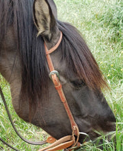 Load image into Gallery viewer, One Piece Split Eared Headstall
